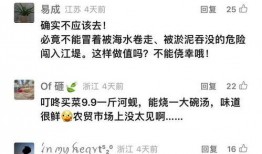 今日爆料新闻讲解视频下载,今日爆料新闻深度解析